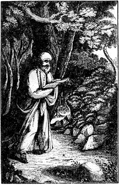 hermit